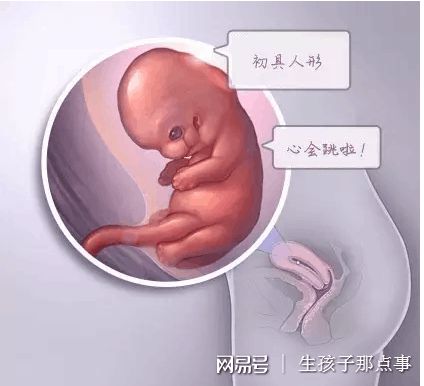 木棉医疗中心